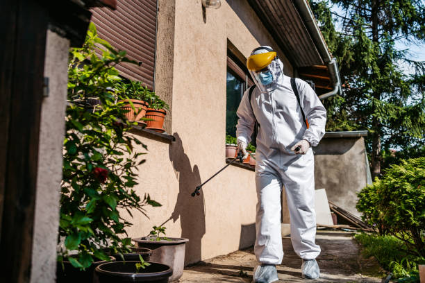 Best Exterminator Services  in Richnd Heights, MO