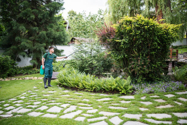 Best Pest Control Treatment  in Richnd Heights, MO