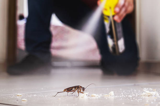 Best Residential Pest Control  in Richnd Heights, MO